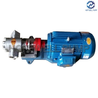 Stainless Steel KCB55 Vegetable Oil External Gear Pump