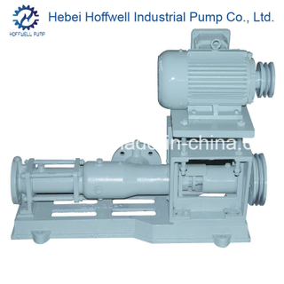 G Series Progressing Cavity Screw Pump