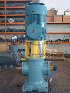 3GL Vertical Double Suction Triple Three Screw Pump for Liquid