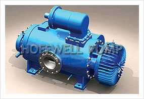 High Quality 2W. W Twin Screw Pump