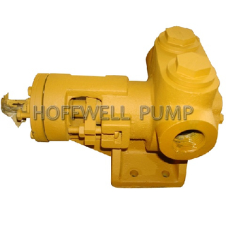 1 Inch Cast Iron NYPl Internal Gear Pump