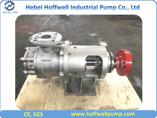 2 Inch NYP Stainless Steel Internal Gear Pump