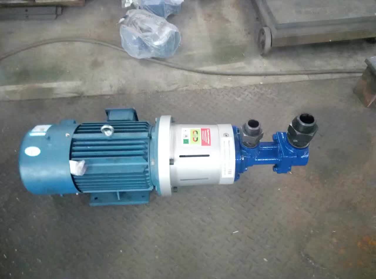 Exported 3G Magnetic Coupling Triple Screw Pump to Dubai